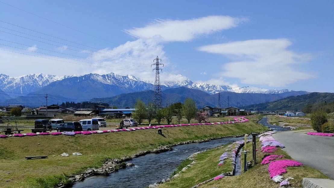 The snow-capped Northern Alps seen across the Matsumoto basin on a clear spring day, with houses and power lines in the foreground